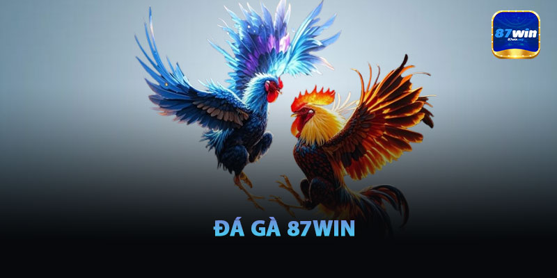 Đá Gà 87win