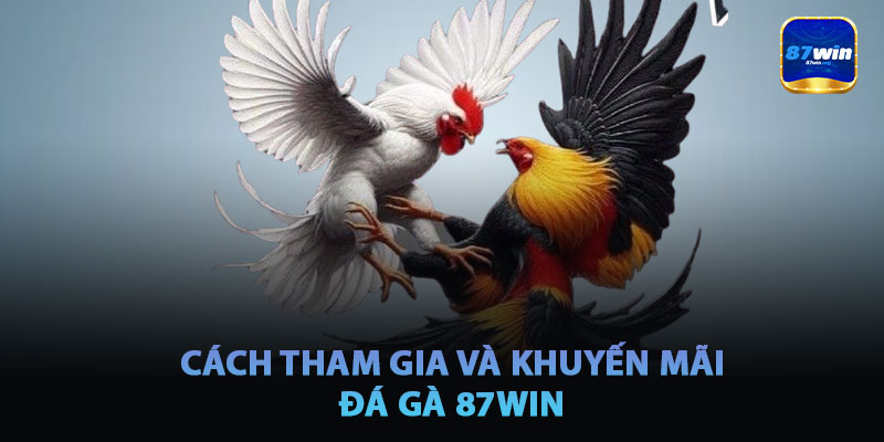 Cách Tham Gia Và Khuyến Mãi Của Đá Gà 87win