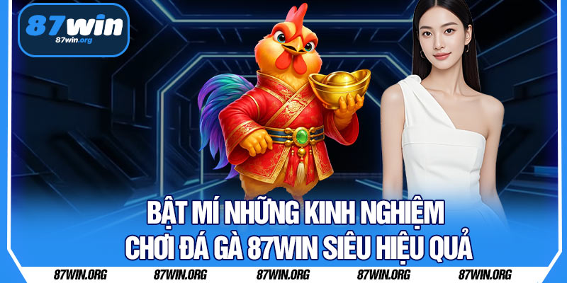 Bật Mí Những Kinh Nghiệm Chơi Đá Gà 87WIN Siêu Hiệu Quả