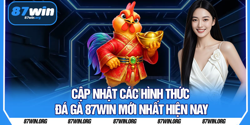 Cập Nhật Các Hình Thức Đá Gà 87WIN Mới Nhất Hiện Nay