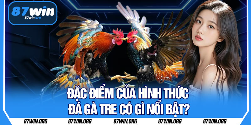 Đặc Điểm Của Hình Thức Đá Gà Tre Có Gì Nổi Bật?