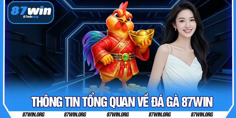 Thông Tin Tổng Quan Về Đá Gà 87WIN