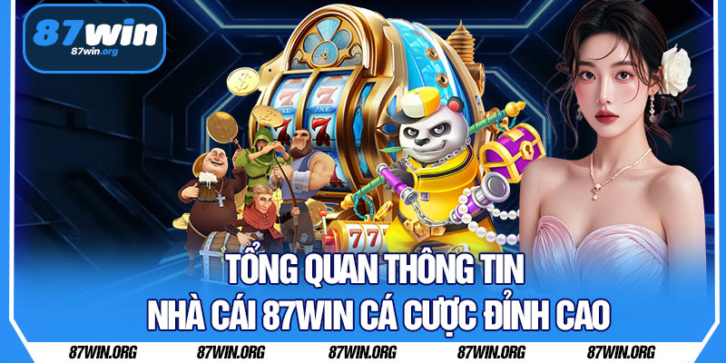 Tổng Quan Thông Tin Nhà Cái 87WIN Cá Cược Đỉnh Cao