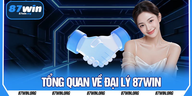 Tổng Quan Về Đại Lý 87WIN